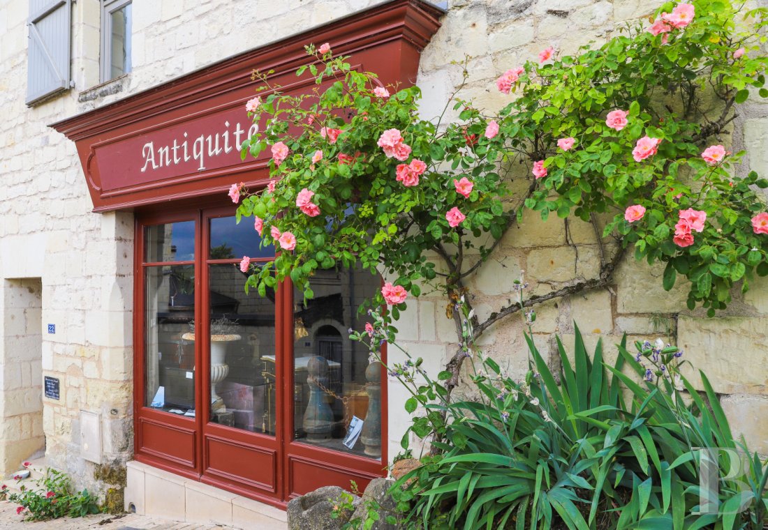 An apartment in a former 15th century bargeman's house in Montsoreau, Maine-et-Loire - photo  n°21